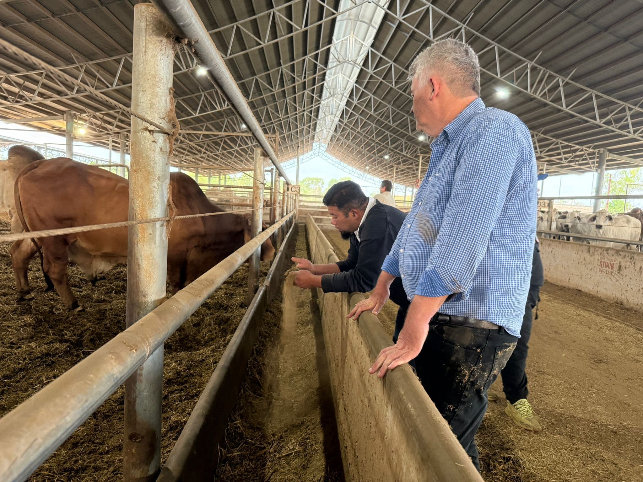 Compliance inspection during livestock loading