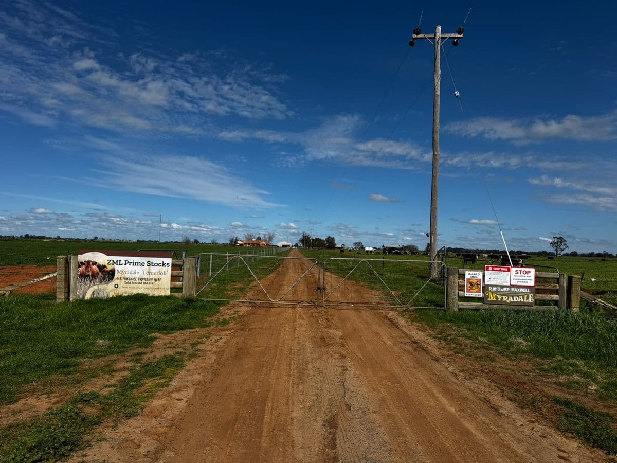 ZML Prime Stocks Farm & Export Yard