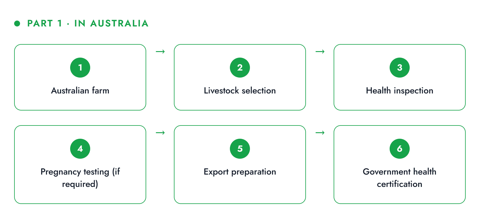 Breeder export process part 1 — in Australia: farm, livestock selection, health inspection, pregnancy testing, export preparation, government health certification
