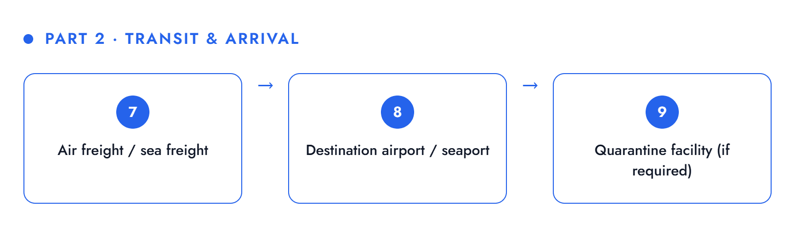 Breeder export process part 2 — transit and arrival: air or sea freight, destination airport or seaport, quarantine facility