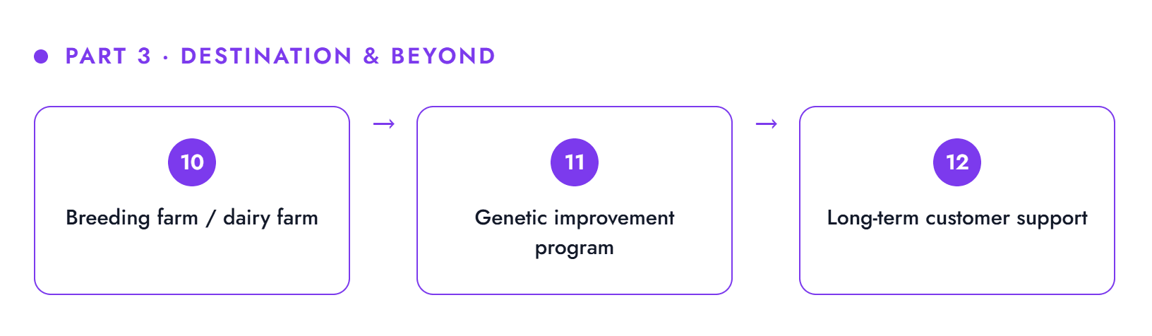 Breeder export process part 3 — destination and beyond: breeding or dairy farm, genetic improvement program, long-term customer support
