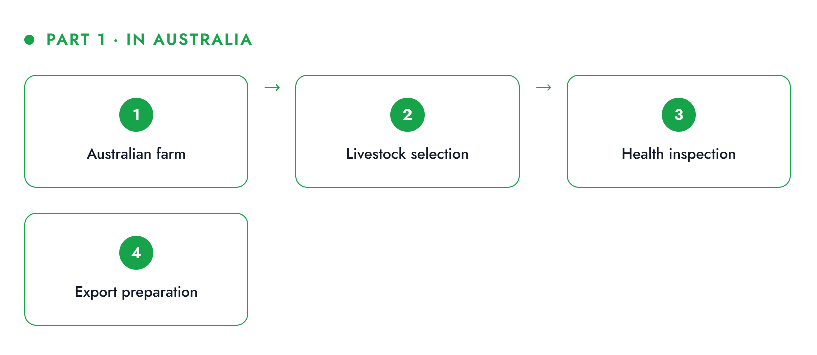 Slaughter export process part 1 — in Australia: farm, livestock selection, health inspection, export preparation